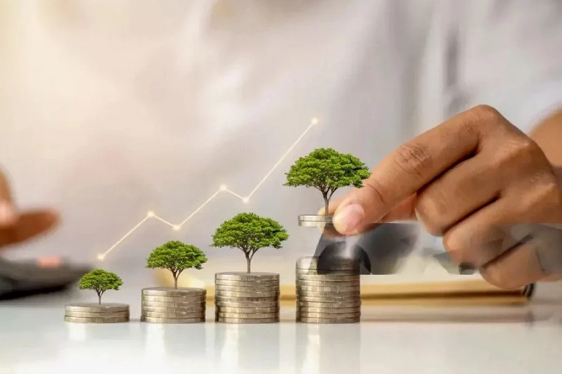 إدارة المشاريع الشبابية أسباب النجاح والفشل