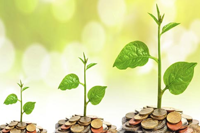 الاقتصاد والسلم المجتمعي