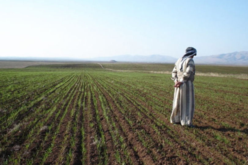 هل يمكن ان يقود القطاع الزراعي الشراكة بين القطاعين العام والخاص؟