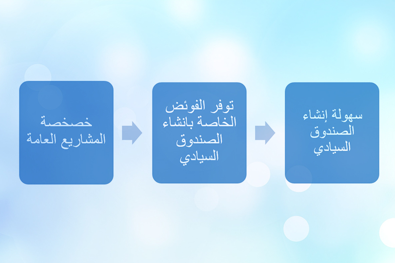 دور الخصخصة في إنشاء الصندوق السيادي