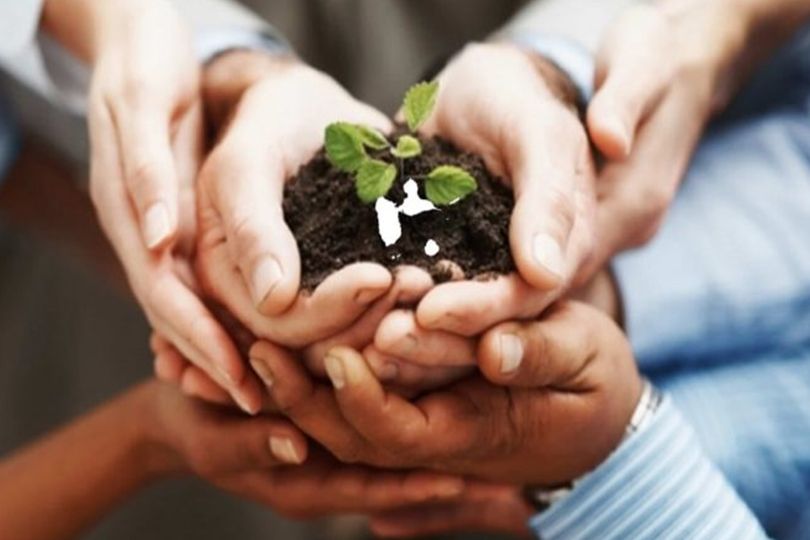 القيم المدنية وبناء السلام الدائم