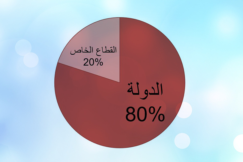 لماذا يفشل الاقتصاد؟ العراق أنموذجاً