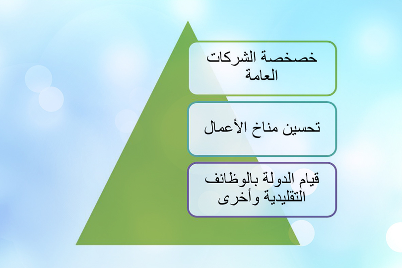 إسهام الدولة في التحول الاقتصادي
