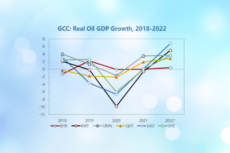 اقتصادات دول مجلس التعاون الخليجي: مراجعة لأولويات السياسة