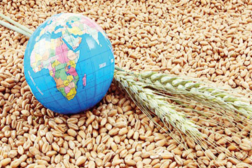 حرب بوتين اختيار لتهديد الأمن الغذائي على الصعيد العالمي