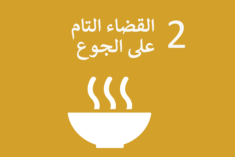 الامن الغذائي .... أزمة جوع وسط أزمات