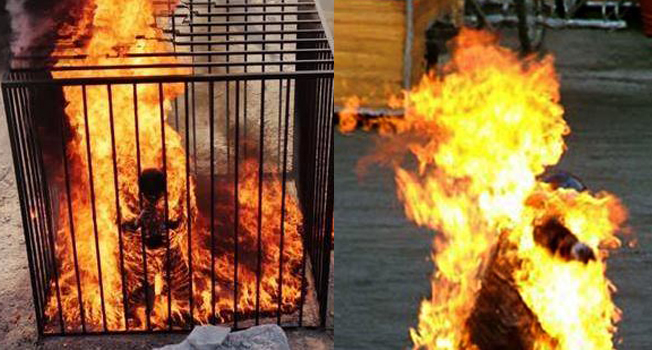 العالم العربي بين نارين &quot;البوعزيزي والكساسبة&quot;... هل من نهاية؟