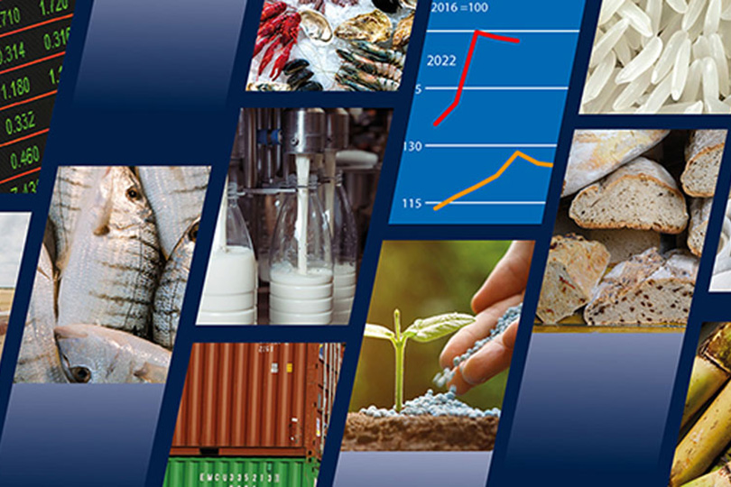 قطاع الثروة الحيوانية في العراق.. مصير مجهول المستقبل